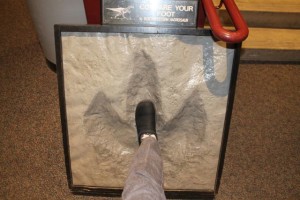 Big Foot (Mesa Natural History Museum)